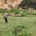 Polisi mengamankan lokasi pemusnahan granat peninggalan Jepang