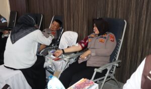 Donor darah