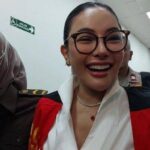 Nikita Mirzani di Pengadilan Negeri Jaksel, (Tribunnews.com/Fauzi Alamsyah).
