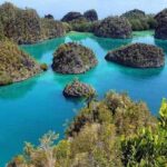 Foto: Raja Ampat, salah satu destinasi wisata bawah laut terbaik di Indonesia.(Randy/detikTravel