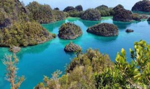 raja-ampat-salah-satu-destinasi-wisata-bawah-laut-terbaik-di-indonesia-randydetiktravel_169 Foto: Raja Ampat, salah satu destinasi wisata bawah laut terbaik di Indonesia.(Randy/detikTravel