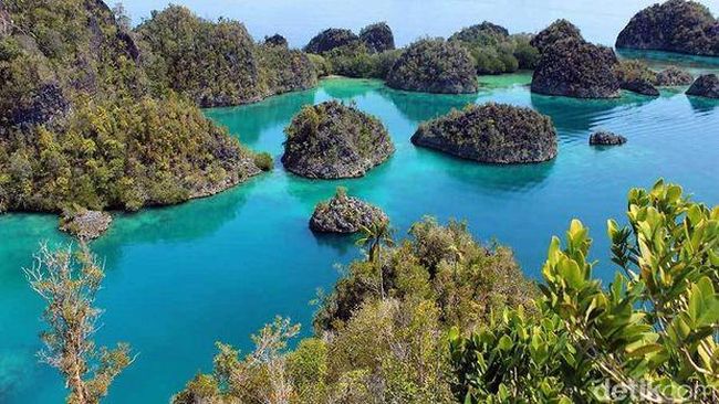 Foto: Raja Ampat, salah satu destinasi wisata bawah laut terbaik di Indonesia.(Randy/detikTravel