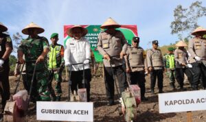 IMG-20250709-WA0005 Penanaman jagung